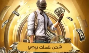 شحن مجانا 16200+ شدة في ببجي موبايل 2025 عبر Midasbuy الرسمي بخطوات سهلة وآمنة