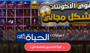 حسابات ببجي مجانا 2026 مع كلمة السر شرح كامل للمميزات والمخاطر وطرق حماية حسابك