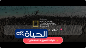 تردد قناة ناشيونال جيوغرافيك نايل سات 2026 الجديد بجودة HD وخطوات ضبطه بسهولة