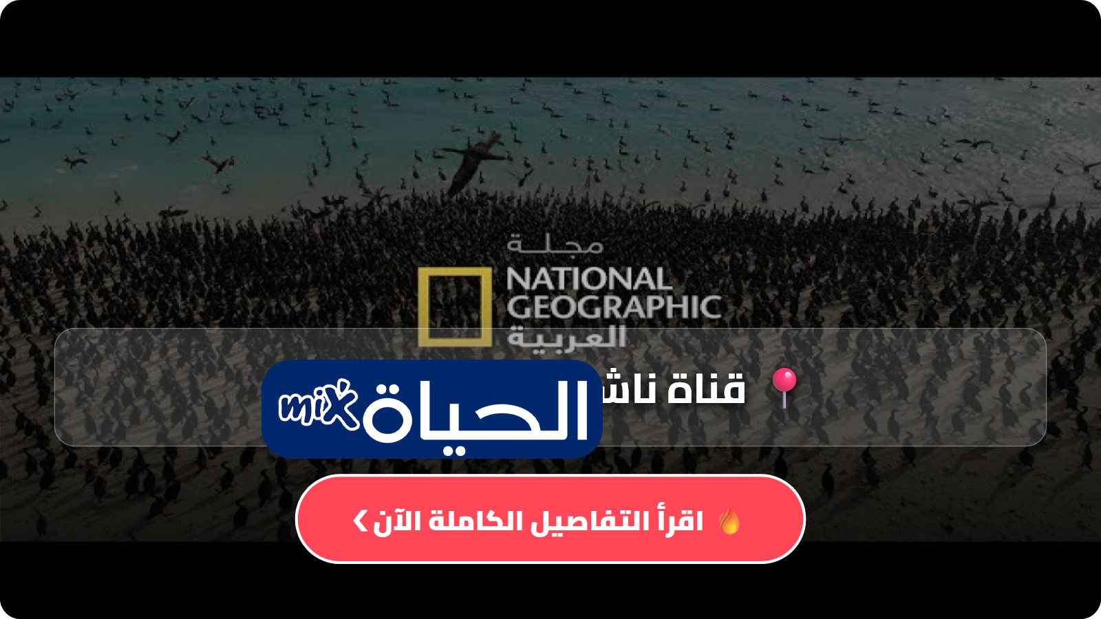 قناة ناشيونال جيوغرافيك