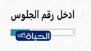 رابط نتيجة الشهادة الإعدادية المنيا 2026 بالاسم ورقم الجلوس عبر البوابة الإلكترونية