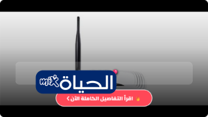 هل تعيد تشغيل الراوتر بالطريقة الصحيحة؟ خبراء يكشفون عدد المرات المثالي لتحسين سرعة الإنترنت