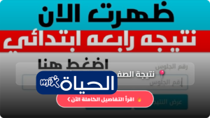 نتيجة الصف الرابع الابتدائي 2026 رابط الاستعلام وخطوات الحصول على النتيجة بالرقم القومي